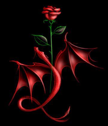 belle rose